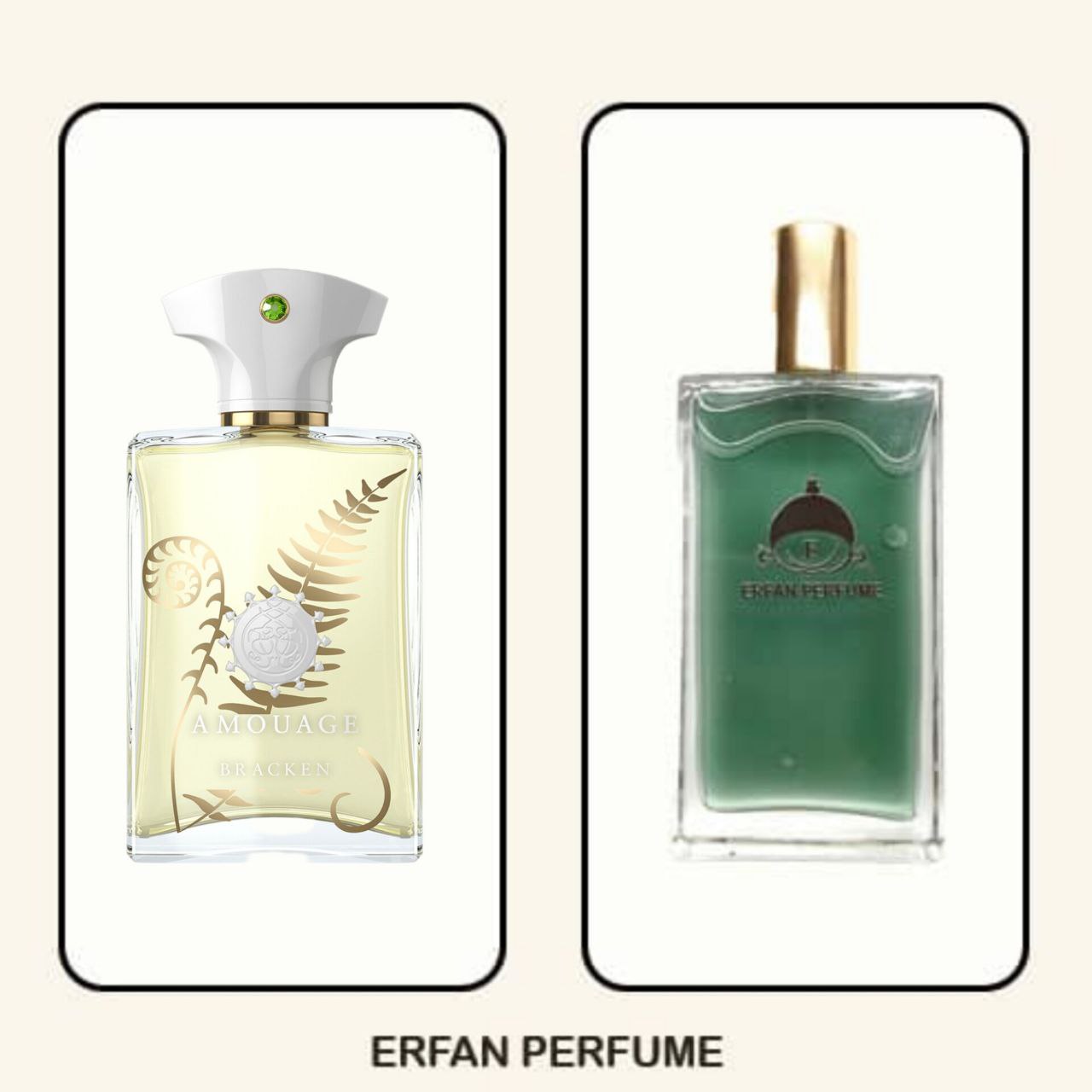 photo_2024-12-25_11-40-39 عطر آمواج براکن مردونه Amouage Bracken Man - Image 1